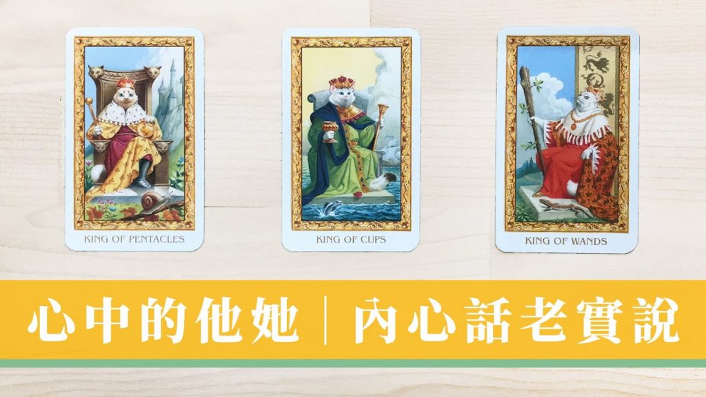 聊療占卜|他她的老實心裡話|對我的感覺?|下一步打算|遠距/斷聯/冷戰/曖昧|無時間限制 Timeless