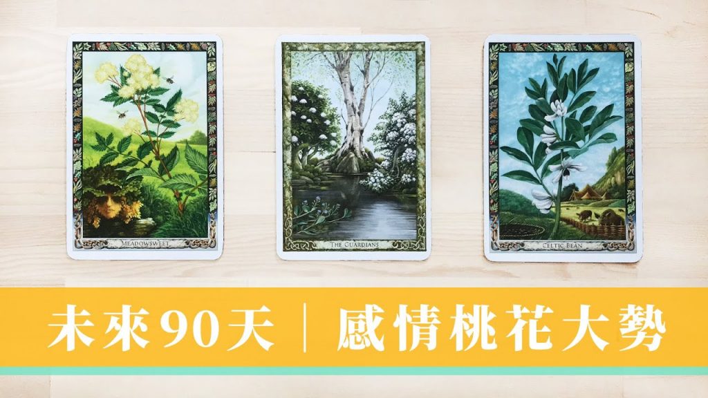 感情桃花運勢如何|戀愛體質解析|自我成長|我在想什麼系列 🤷🏾♂️ 冬季戀歌|開唱了沒|無時間限制 Timeless