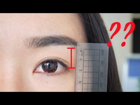 眼影技巧 ║ 眼影到底要畫多高才好看呢?(內雙、外雙比較)