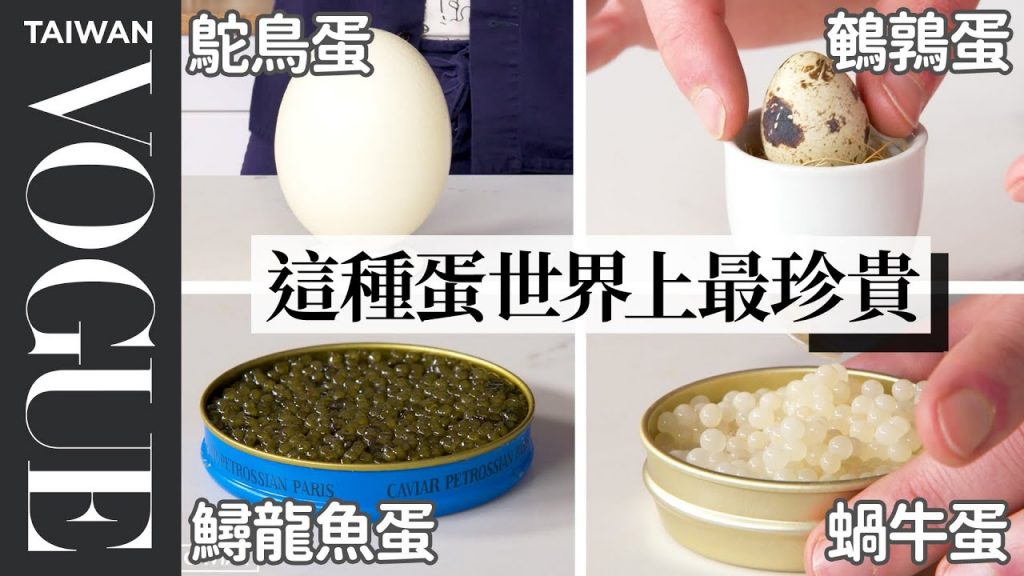 你看過蝸牛蛋嗎?從雞蛋到魚蛋,教你12種不同動物的蛋料理方法!12 Types of Eggs, Examined and Cooked |療癒廚房|Vogue Taiwan
