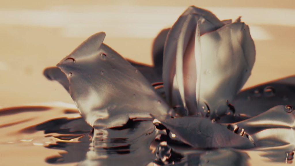 ARMANI / PRIVÉ Haute Couture Fragrances – GARDENIA ANTIGUA by Giorgio Armani