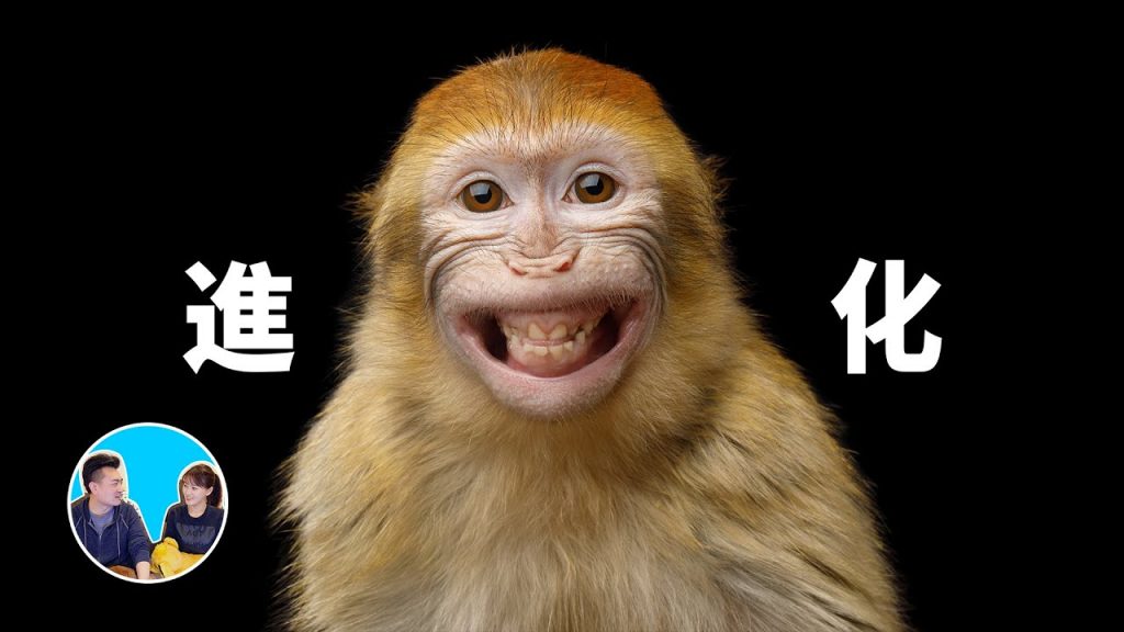 【震撼】進化,從1859到2020 | 老高與小茉 Mr & Mrs Gao