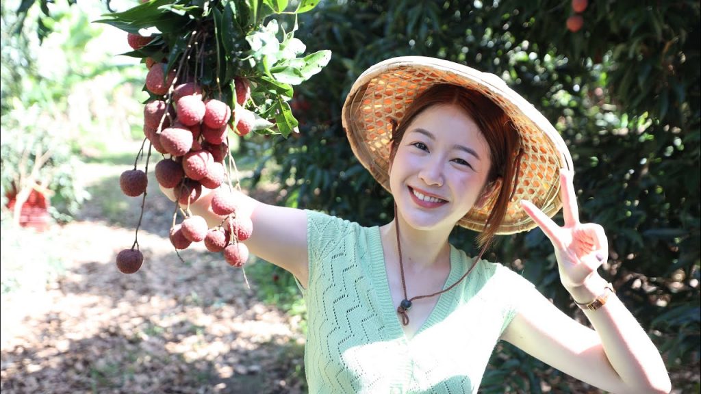 Vlog|跟我一起去鄉下採荔枝😋 最愛去的療癒秘境分享