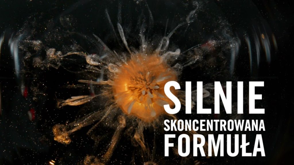 Syoss Maski skoncentrowane na włosach