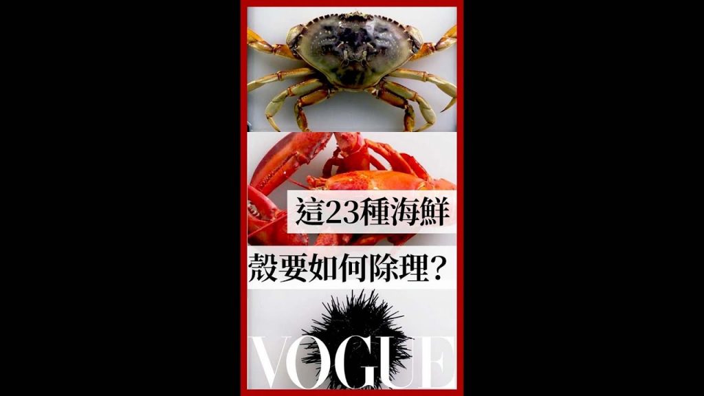 海鮮店經理來教你 這些海鮮殼到底該怎麼處理?How To Open Every Shellfish |療癒廚房|Vogue Taiwan