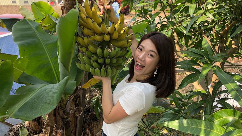雲林媳婦的一天
