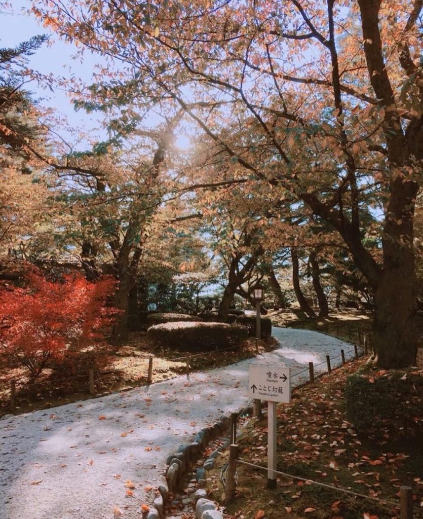 #曼達的青色漫遊
#不是最近去的不用擔心
#疫情很敏感 #浪漫同時還是要好好聲…