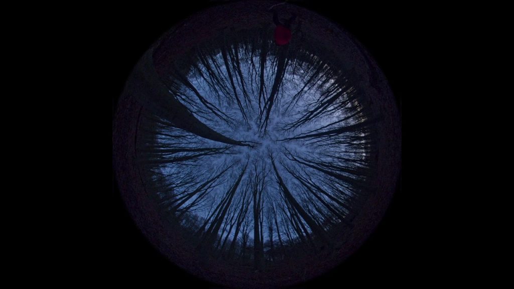 Balenciaga Loop 09 – 鳶尾花