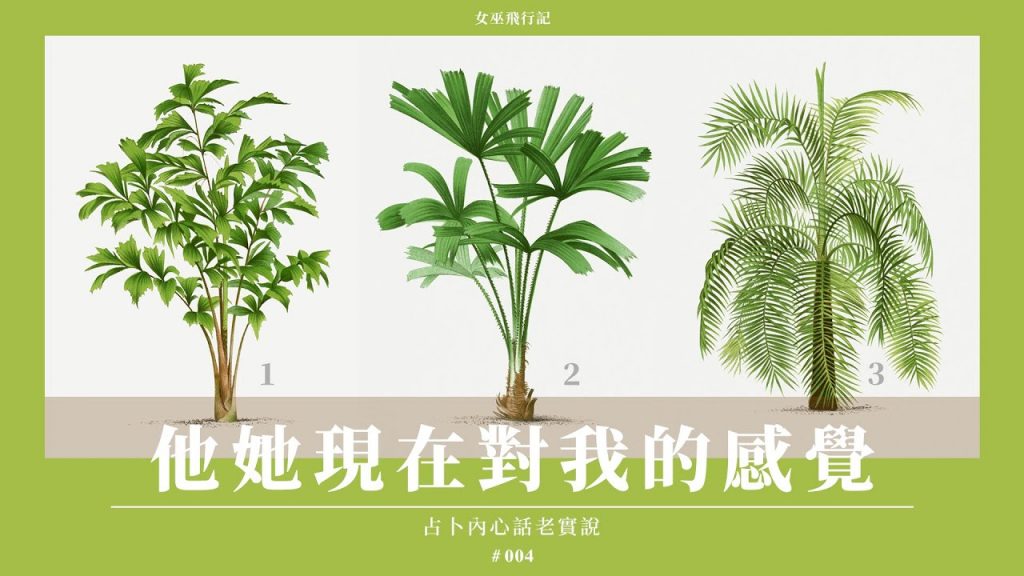 全新字卡🍀現在想到你時 感覺如何🌿有什麼話想說|對方狀態&想法 + 下一步打算|直白慎入|無時間限制 Timeless