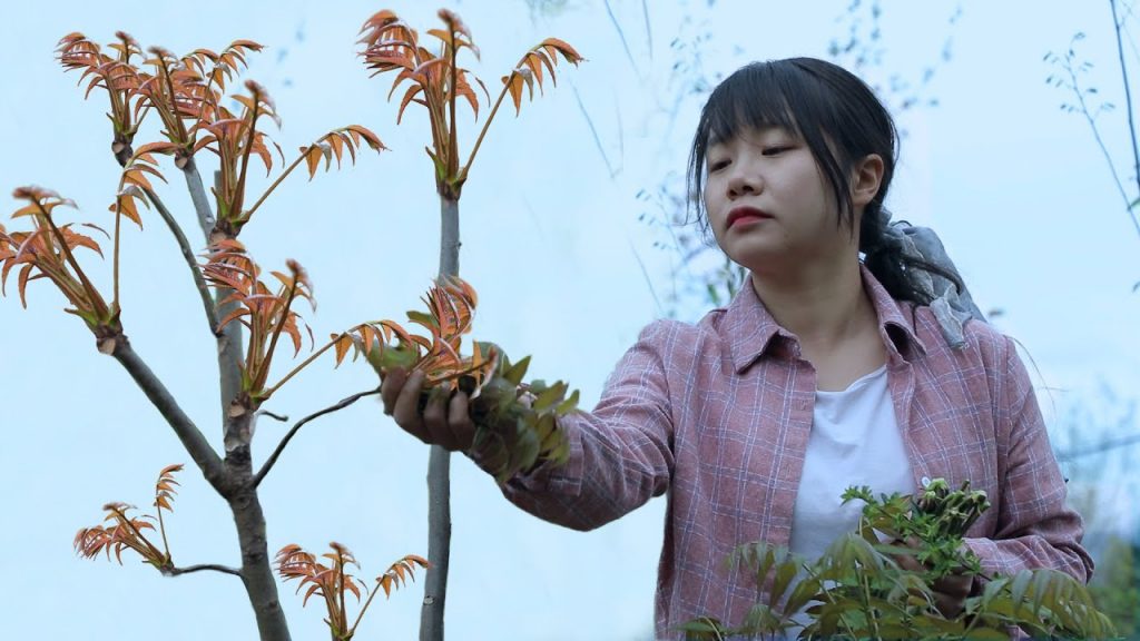 【二米炊煙】6 Wild Greens for Picnic! 找到6種野菜,做成春日裡的野餐便當