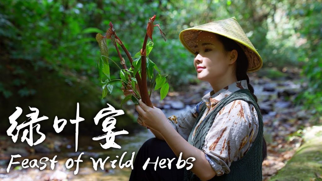 採一籮筐野菜,做一桌綠葉宴,把春天吃到肚子裡【滇西小哥】
