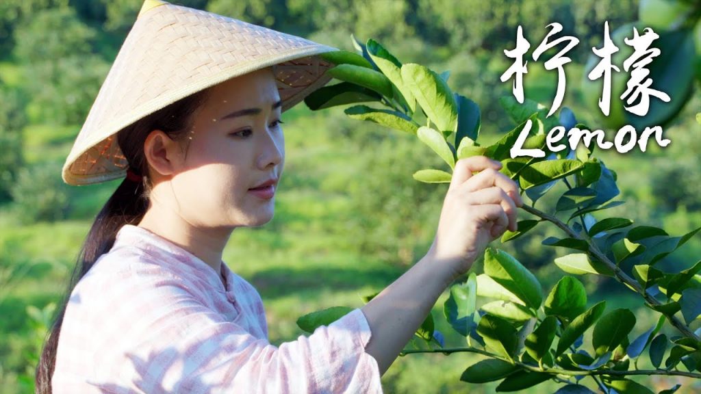 「一席一果」檸檬——水果入菜的鼻祖,一口酸爽的味蕾刺激【滇西小哥】