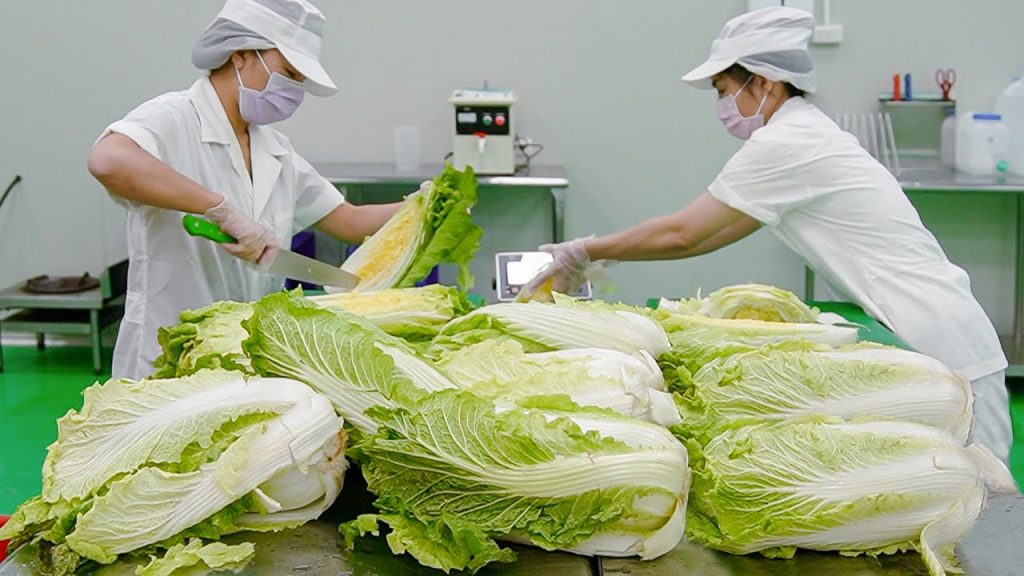 台灣金泡菜、飛魚子海帶製作/黃金泡菜、飛魚卵海帶芽 – 台灣美食