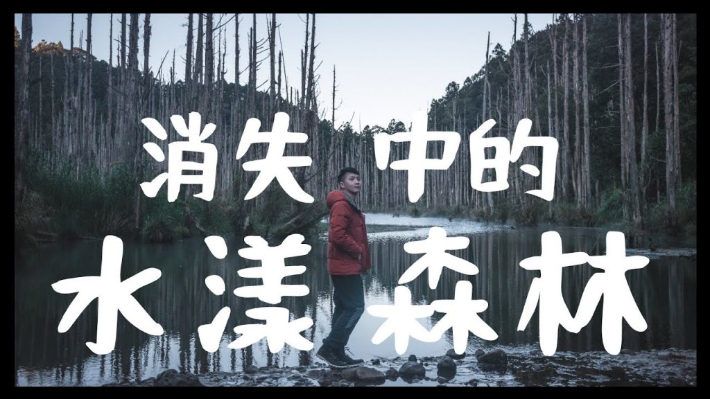消失中的水漾森林?再不去就看不到了?崩潰登山露營初體驗!兩天沒洗澡沒大便!但是很美很值得!!|內內