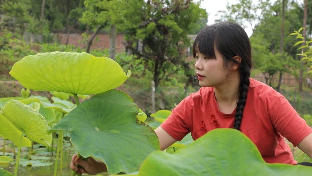 【二米炊煙】China’s Summer Harvest, Cook with Lotus Leaf. 夏收時節,為家人做5種簡單又健康的美食