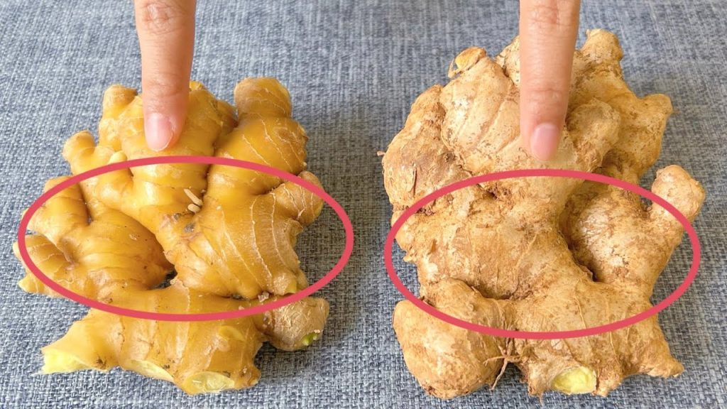 才知道,這5種生薑再便宜也不要買,菜販子也從來不吃,看完記得告知家裡人