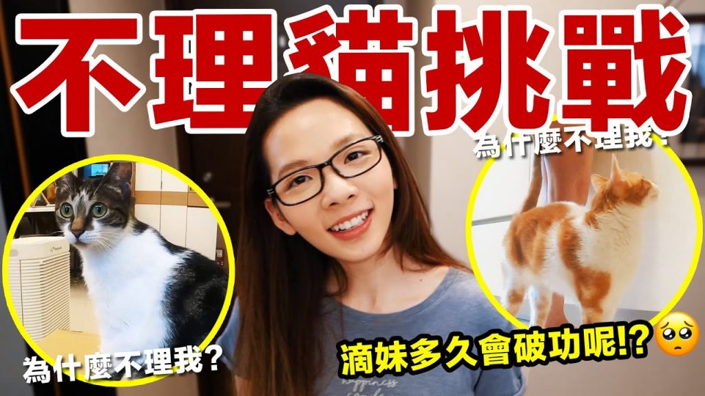 殘忍實測! 不理貓挑戰可以堅持多久? ♥ 滴妹feat. 珍珠,奶茶