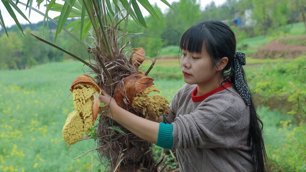 【二米炊煙】Wild Vegetables. Cook Leaves and Fungus Grown on the Ground?!