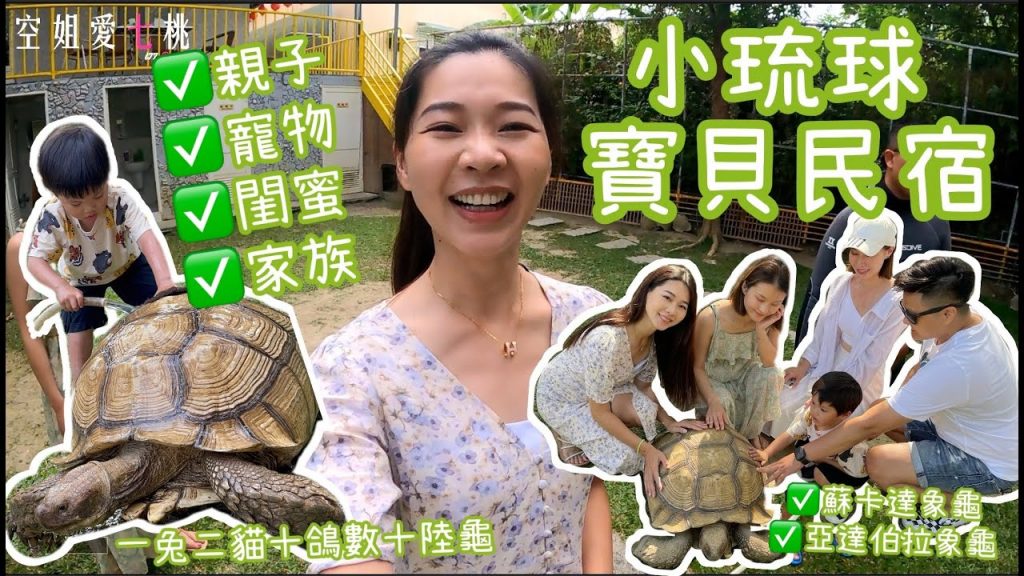 小琉球#1【住宿篇】推薦親子寶貝民宿潛店之超多烏龜啦|空姐愛七桃
