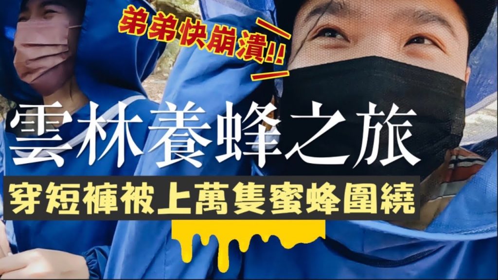 【養蜂之旅】短褲上陣採蜜!數萬隻蜜蜂驚險圍繞!How to harvest Honey? ft.麥當勞McCafé