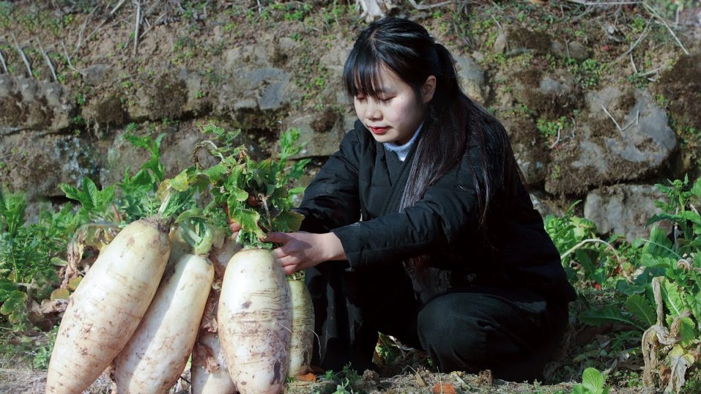 【二米炊煙】Radish 秋天種下的蘿蔔,挖出來又白又大,365天的下飯菜就有了