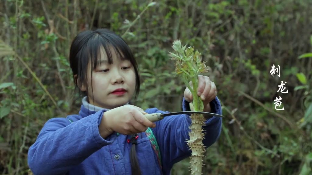 【二米炊煙】Wild Vegetables in Rural China 用5種野菜製成一桌美食,山裡人這樣迎接春天