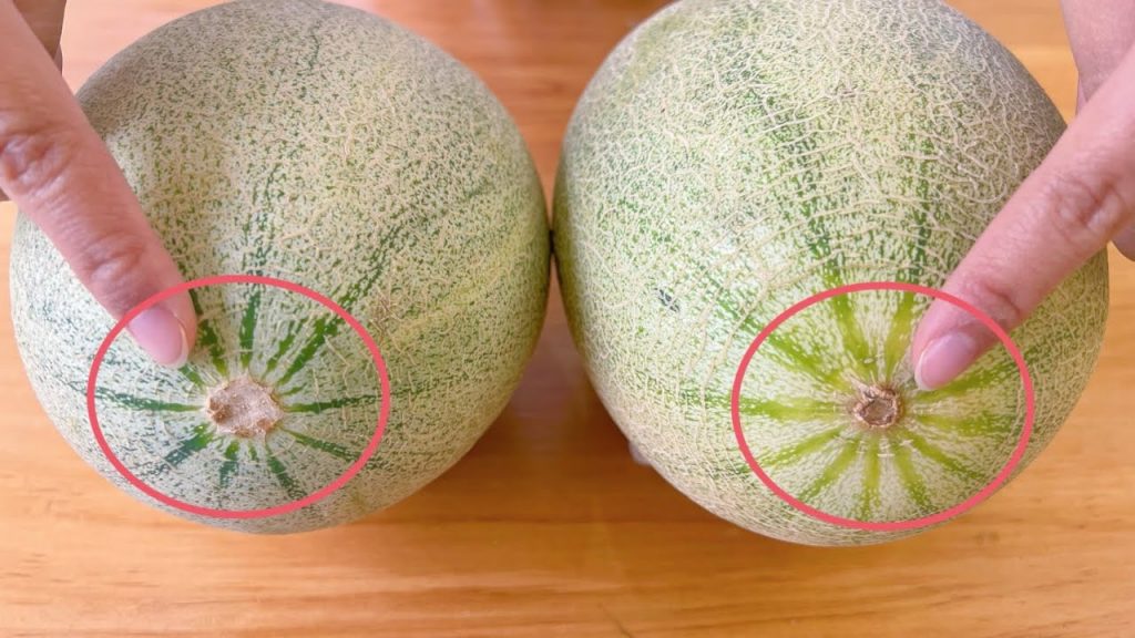活了30年才知道,哈密瓜甜不甜,看一眼這個位置就知道,一挑一個准,真管用 , pick cantaloupe life hacks マスクメロンのライフハックを選ぶ 멜론 생활 꿀팁 선택