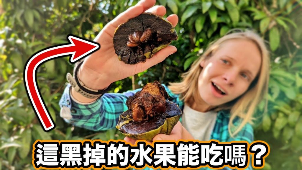 台灣稀有奇特水果😱 吃起來像「巧克力布丁」?歐洲人最愛的甜點! 沒想到柿子居然有黑色的!Chocolate Pudding Fruit?!