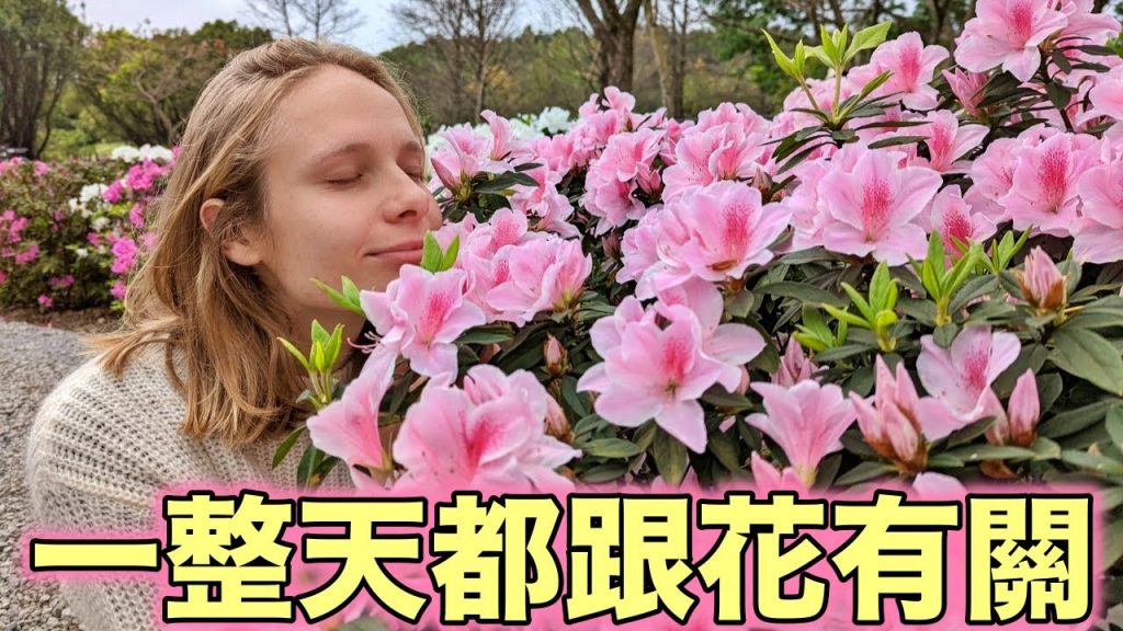 台北季節限定😍外國人看到超興奮!免費抽iPhone和五星級住宿!台北杜鵑花季 | Win An iPhone By Enjoying Flowers? Taipei Azalea Festival