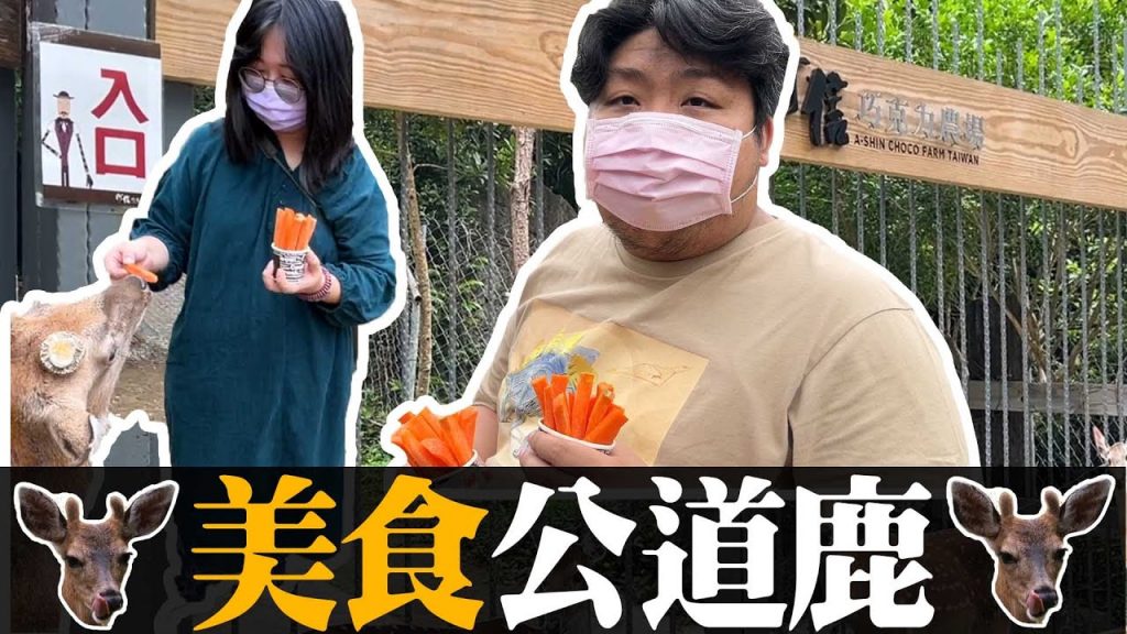 花200元去台灣版微奈良看小鹿!後疫情時代的舒壓行程 feat.梅花鹿、墾丁國動