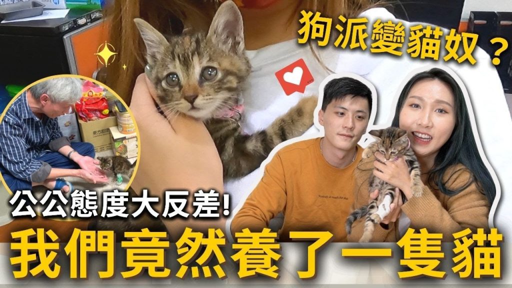 我們領養了一隻貓❗️道路救援受傷奶貓🐱公公超反對‼ ️見到貓咪之後卻…..💦