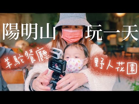 【台北陽明山】羊駝餐廳、絕美咖啡廳!大姐名牌包嚕一次一千塊!好想玩喔~