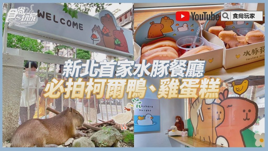【新開店】免衝宜蘭!新北首家「水豚主題餐廳」,必拍柯爾鴨、超可愛雞蛋糕