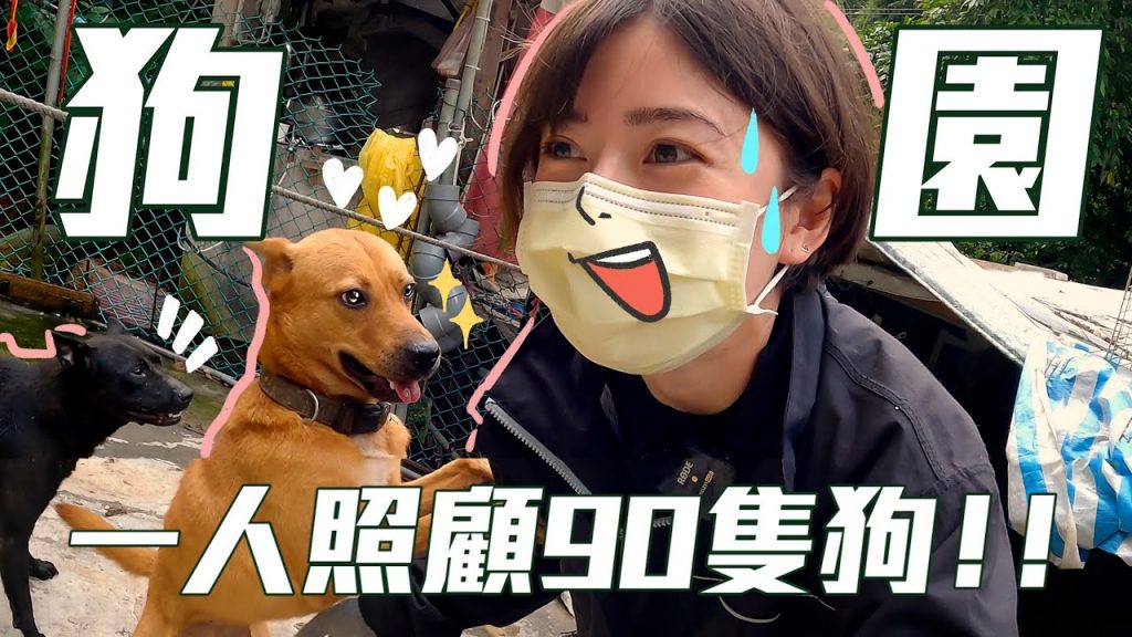 挑戰一人照顧90隻狗!狗園體驗一日志工!|金魚腦 Goldfish Brain