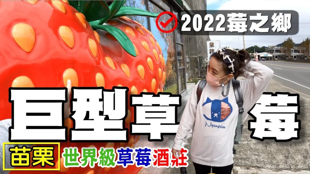 巨型草莓/苗栗 大湖酒莊 採草莓 花露農場 落雨松 草莓酒