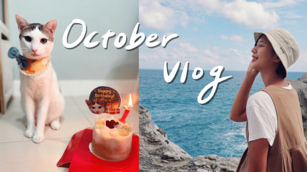 十月VLOG|祝我與嗨嗨🐱生日快樂!創業生活大爆炸、出席活動…那些在台北的日常!|林宣 Xuan Lin