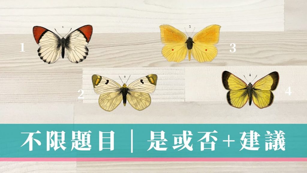 不限題目|Yes or No 🏄♀️|近期感情or事業 好消息+建議|心想是否成真|無時間限制 Timeless