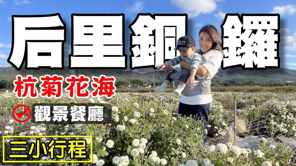 【后里 銅鑼】三小行程 星月大地 杭菊花海 泡湯 賞景 喝花茶