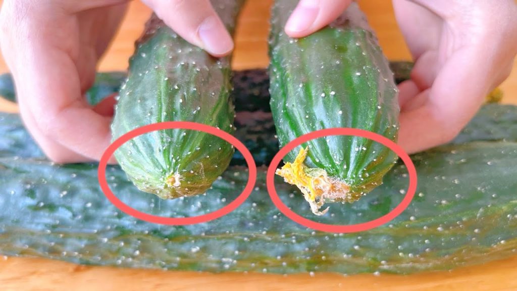 今天才知道,這5種黃瓜不能買,菜販子也從來不吃,看完記得告知家人