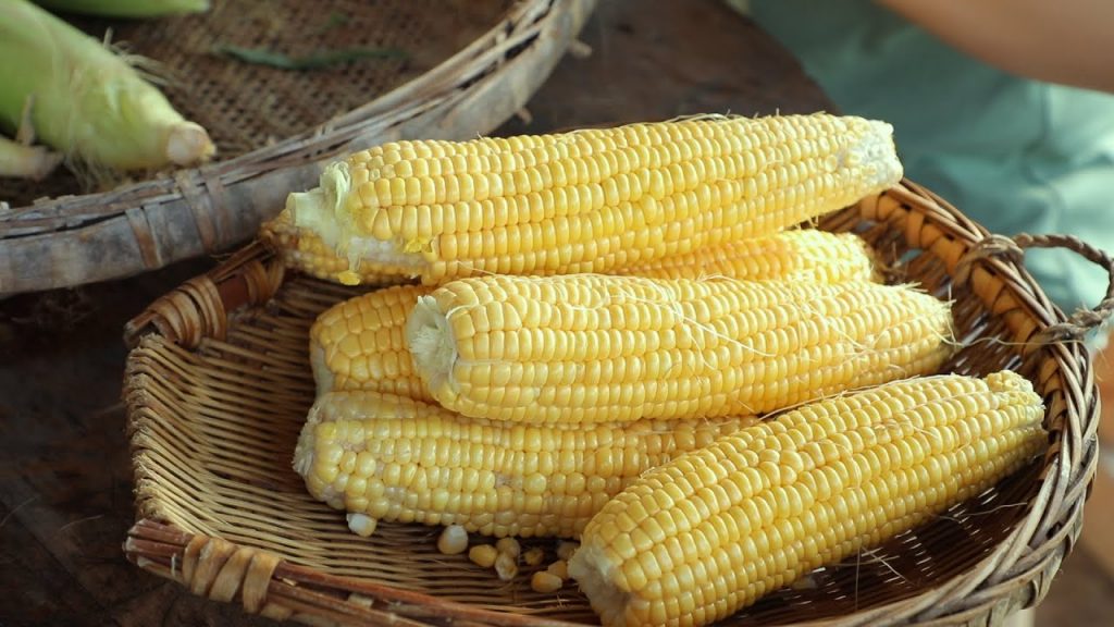 【二米炊煙】Corn 掰下新鮮玉米做了饃饃和涼蝦,和家人一起分享中國傳統小吃
