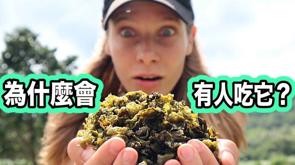 為什麼有人覺得這是美食?😱 歐洲人眼裡的巫婆大便!北極圈居然有的超級食物!|Why Would People Eat It?