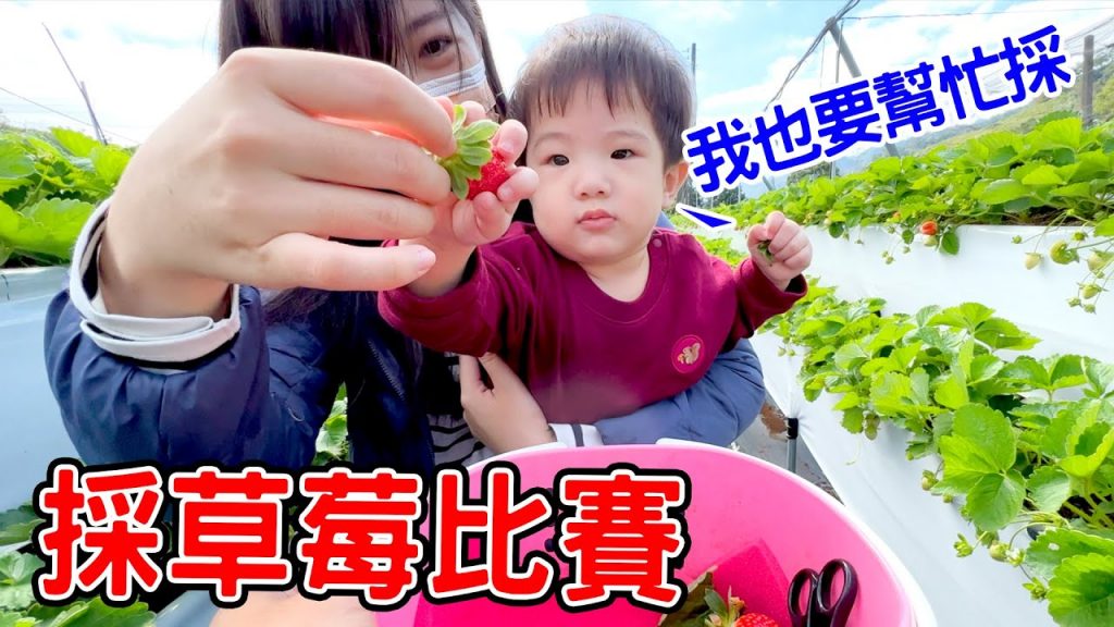 採草莓比賽| 採草莓挑戰賽採最多的可以吃草莓冰棒🤣 – 恩恩老師EanTV