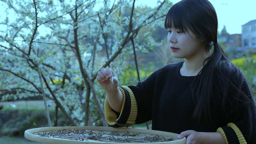 【二米炊煙】Wild Vegetable 草叢裡的野生薇菜,到了該嘗鮮的季節