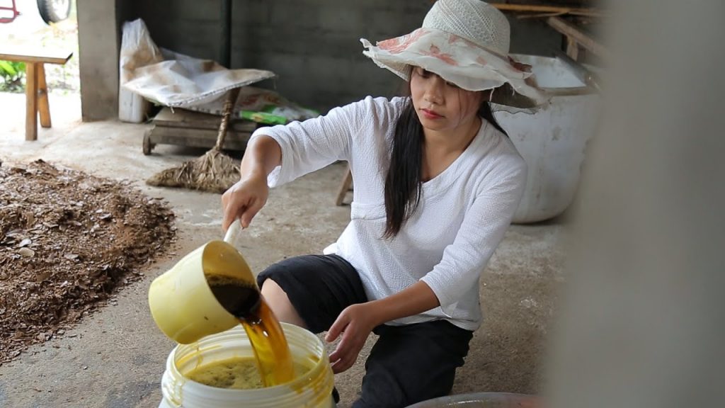 【二米炊煙】Rapeseed Oil-鄉村女孩用傳統方法製作菜籽油,為家人烹飪美食