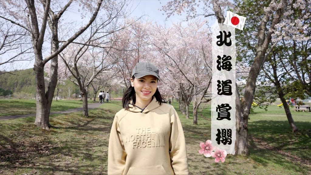 超療愈~北海道蘭越櫻花|Ichi Ichi Kitchen超值法式晚餐