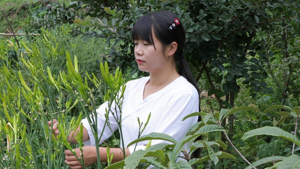 【二米炊煙】菜園子的瓜果蔬菜長勢特別好,摘來做兩道家常小炒,嚐嚐鮮