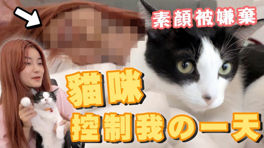 被貓控制!竟然要吃頂級澳洲牛排?真實紀錄貓奴の一天!