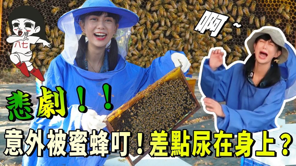 密集恐懼?拍片現場被叮了😱用生命拍片開箱蜂巢🐝|白癡公主