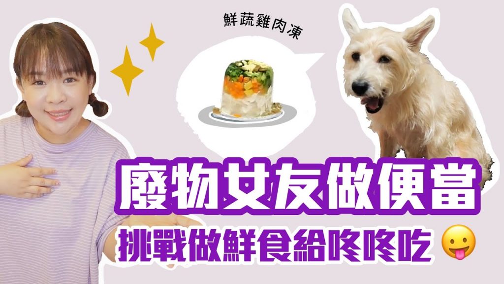 【廢物女友做便當#5】第一次做狗狗鮮食,咚咚會賞臉嗎?❤︎古娃娃WawaKu