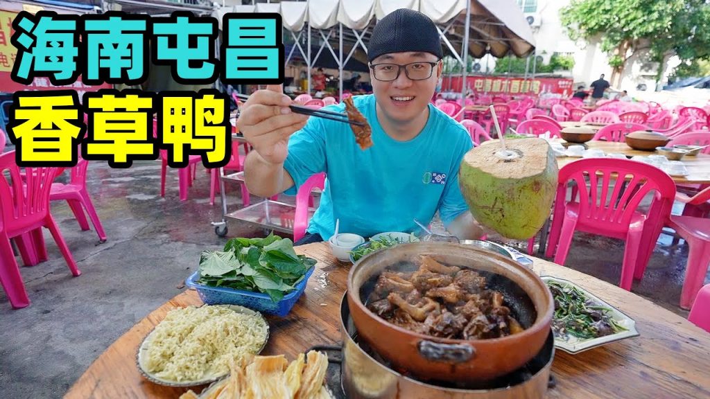 海南屯昌楓木香草鴨,砂鍋煨制滷味,醬香吮指,阿星吃鴨湯拌麵Street Snack Tunchang Vanilla Duck in Hainan